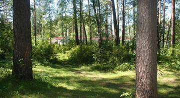 Фото номера Номер &quot;Стандарт&quot; Гостиница Resort Katun-Park г. Манжерок 54