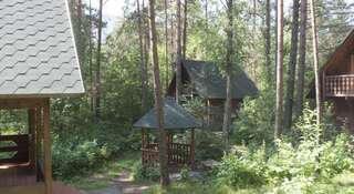 Фото Гостиница Gelion Park Hotel г. Манжерок